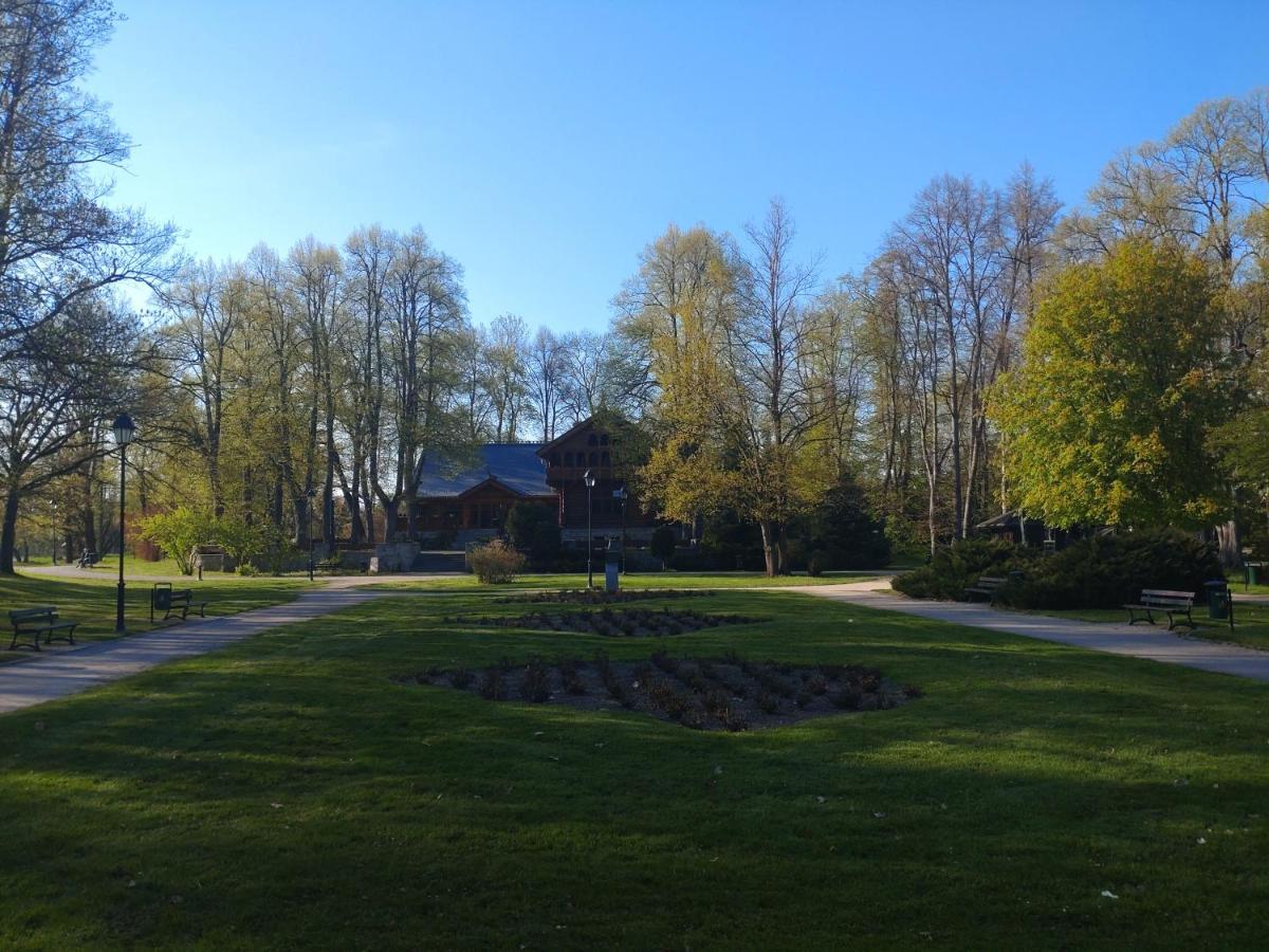 Apartament Almar Cieplice-Zdroj イェレニャ・グーラ エクステリア 写真